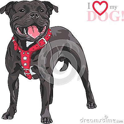 Vector sketch dog Staffordshire Bull Terrier breed Vector Illustration