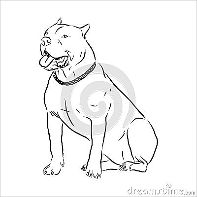 Vector sketch drawing pitbull barking pit bull terrier dog vector Vector Illustration