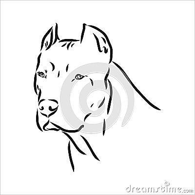 Vector sketch drawing pitbull barking pit bull terrier dog vector Vector Illustration