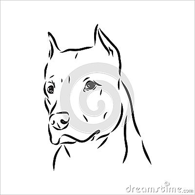 Vector sketch drawing pitbull barking pit bull terrier dog vector Vector Illustration