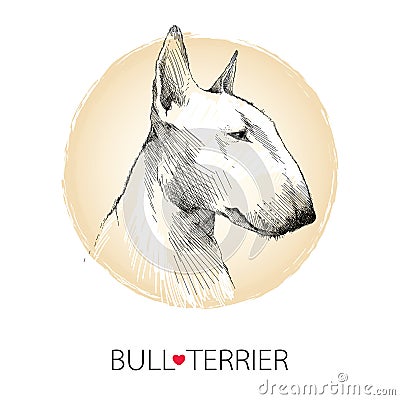 Vector sketch of English Bull terrier dog head profile on white background with beige round frame Vector Illustration