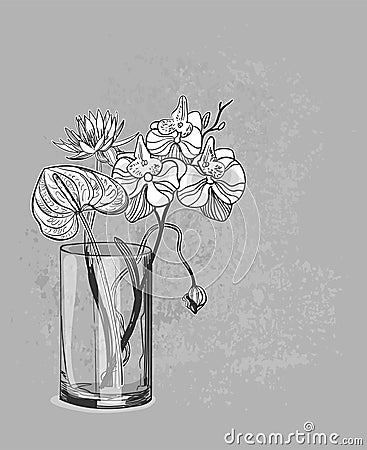 Vector sketch flower background card vase orchid anthurium lotus glass Stock Photo
