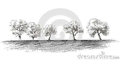 Vector sketch Green grass field on small hills. Meadow, alkali, lye, grassland, pommel, lea, pasturage, farm. Rural Vector Illustration