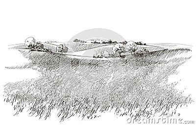 Vector sketch Green grass field on small hills. Meadow, alkali, lye, grassland, pommel, lea, pasturage, farm. Rural Vector Illustration