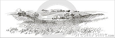 Vector sketch Green grass field on small hills. Meadow, alkali, lye, grassland, pommel, lea, pasturage, farm. Rural Vector Illustration