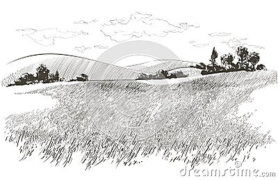 Vector sketch Green grass field on small hills. Meadow, alkali, lye, grassland, pommel, lea, pasturage, farm. Rural Vector Illustration