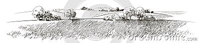 Vector sketch Green grass field on small hills. Meadow, alkali, lye, grassland, pommel, lea, pasturage, farm. Rural scenery Vector Illustration