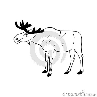 Vector sketch hand drawn silhouette of a moose, line art Vector Illustration