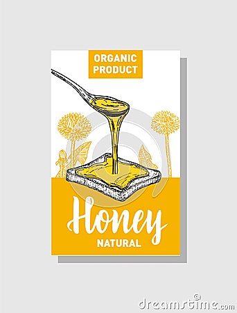 Vector sketch honey poster. Hand drawn vintage style Illustrations. Card design template. Retro background. Vector Illustration