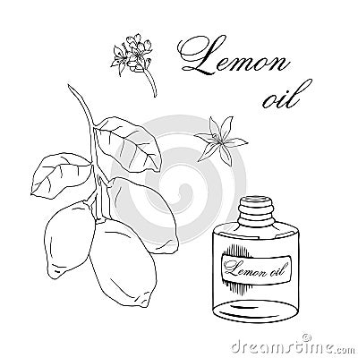 Vector sketch illustration with essential oil of lemon Cartoon Illustration