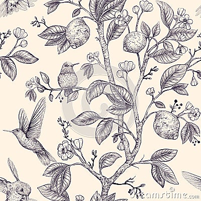 Vector sketch pattern with birds and flowers. Hummingbirds and flowers, retro style, nature backdrop. Vintage monochrome Vector Illustration