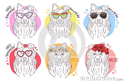 Vector sketch-style portraits of collie dogs with accessories: glasses, flowers Vector Illustration