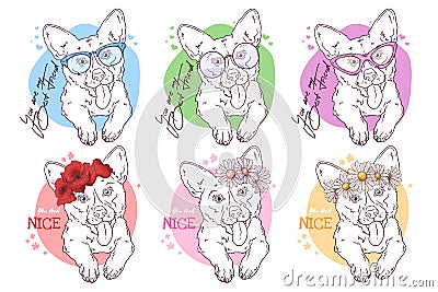 Vector sketch-style portraits of corgi dogs with accessories: glasses, flowers Vector Illustration