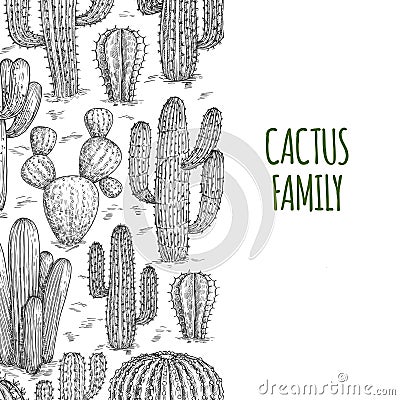 Vector sketched cactuses banner template with text Vector Illustration