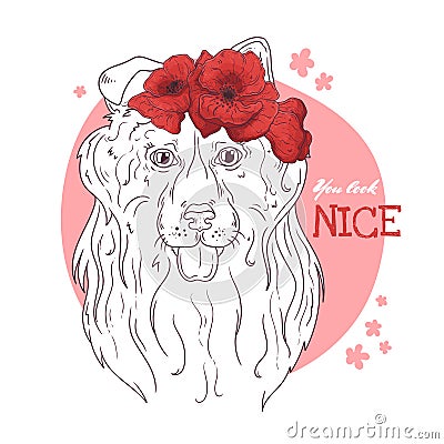 Vector sketching illustrations. Portrait of collie dog with a wreath of poppies Vector Illustration