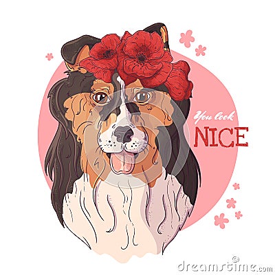 Vector sketching illustrations. Portrait of collie dog with a wreath of poppies Vector Illustration