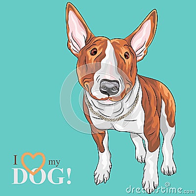 Vector smiling cartoon Bull Terrier Dog breed Vector Illustration