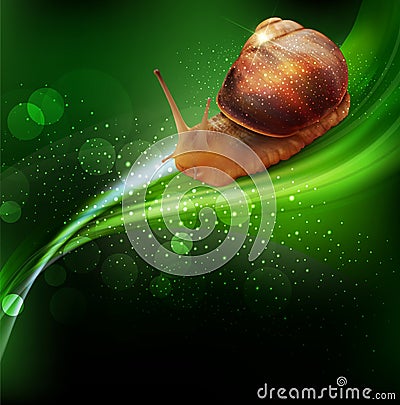 Vector snail crawling on the green leaf Vector Illustration