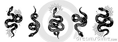 Vector snake set of mystical magic objects- moon, eyes, constellations, sun and stars. Spiritual occultism symbols Vector Illustration