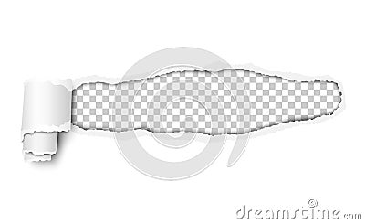 Vector snatched window in piece of white paper with torn edges and paper curl. Resulting window is transparent and has space for Vector Illustration