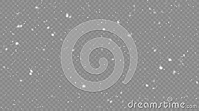 Vector snow isolated. Snowfall Vector Illustration