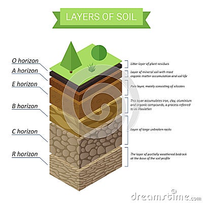 Vector Soil Layers isometric diagram. Underground soil layers diagram. Vector Illustration