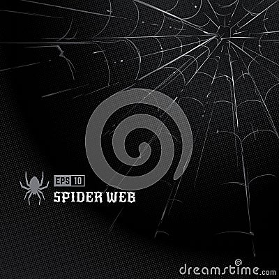 Vector Spider Web on Black Vector Illustration