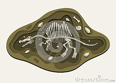 Spinosaurus Dinosaurs Archaeology Fossil Cartoon Discover in the Ground Vector Illustration