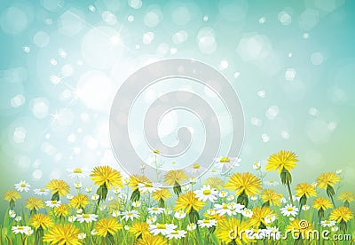 Vector spring background with chamomiles and dande Vector Illustration