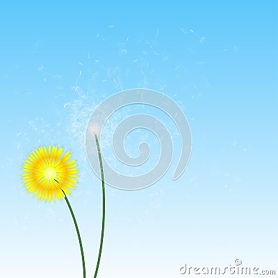 Spring Background with Dandelions Vector Illustration