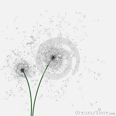 Spring Background with Dandelions Vector Illustration