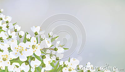 Vector spring blossoming background. Vector Illustration