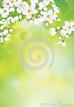 Vector spring blossoming background. Vector Illustration