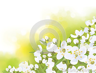 Vector spring blossoming sakura tree. Vector Illustration