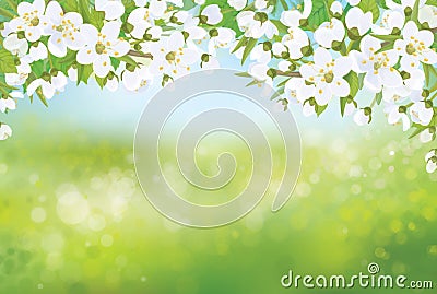 Vector spring blossoming tree on bokeh background. Vector Illustration