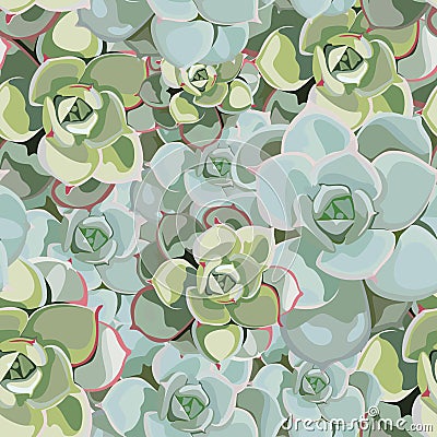 Vector spring flower seamless pattern with succulents. Elegant tender design for florist shop. Stock Photo