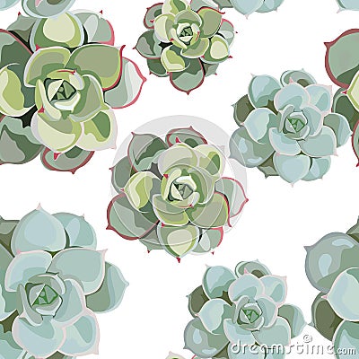 Vector spring flower seamless pattern with succulents. Elegant tender design for florist shop. Stock Photo