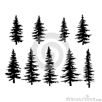 Vector spruce tree, ink plant sketch, hand drawing, black silhouette Vector Illustration