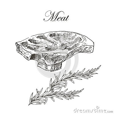 Vector steak meat hand drawing with pepper and Vector Illustration