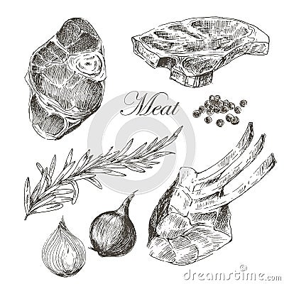 Vector steak meat hand drawing with pepper and Vector Illustration