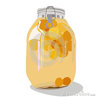 Vector stock illustration of plum wine. Jar of peach compote. Alcohol. Green plum. Vector Illustration