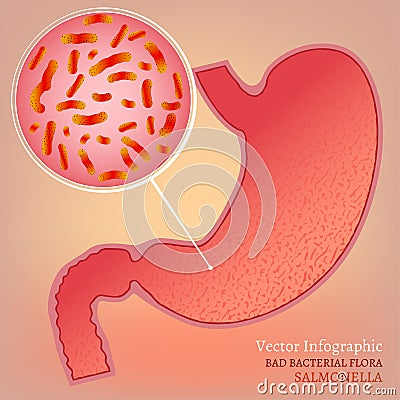 Vector Stomach Image Vector Illustration