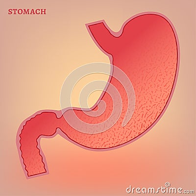 Vector Stomach Image Vector Illustration