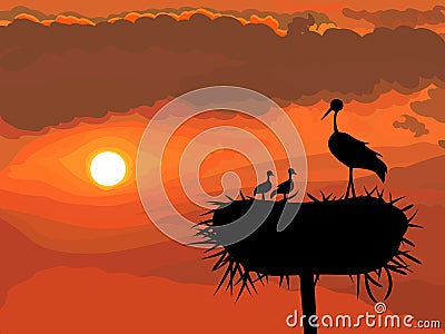vector Stork with chicks Vector Illustration