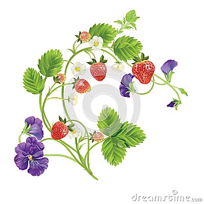 Vector strawberry Vector Illustration