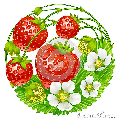 Vector strawberry round composition Vector Illustration