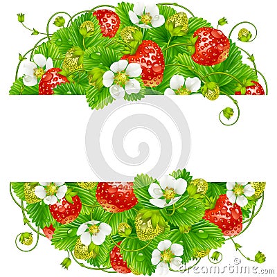 Vector strawberry round frame. Circle composition of ripe red berries Vector Illustration