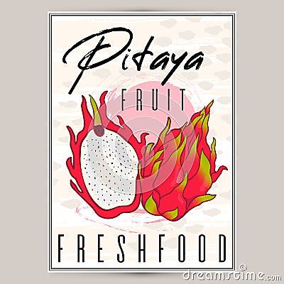 Vector styled fresh pitaya poster label. Nature product, farm organic. Tropical dragonfruit Stock Photo