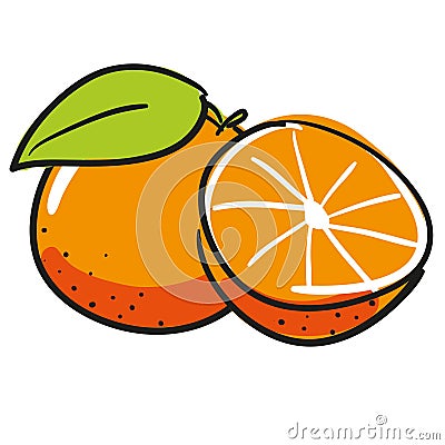 Ripe Orange Fruit Segment Hand Drawn Vector Illustration Cartoon Illustration