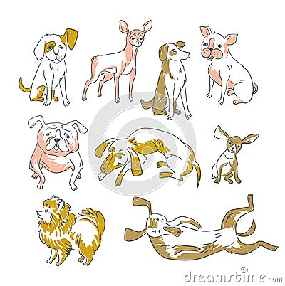 Vector stylish illustration. Funny collection of the different breeds. Vector Illustration